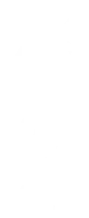 YSL Logo